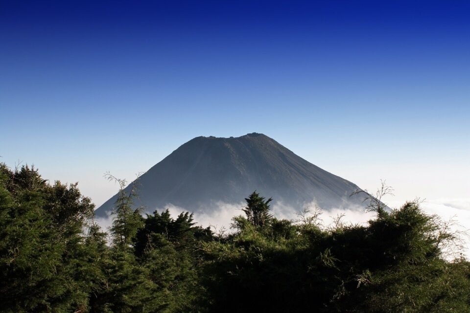 El Salvador kávébabok