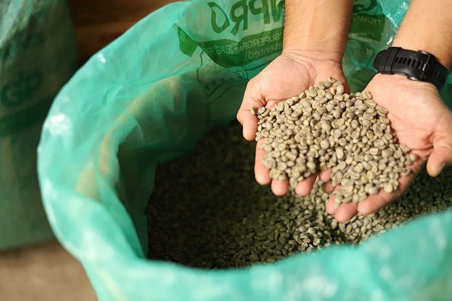 GrainPro BAG zsákolás a nyerskávé biztonságos útja