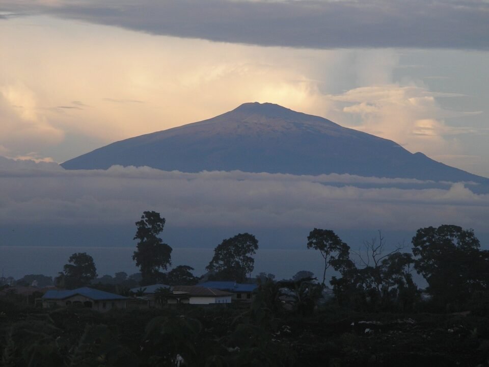 Kamerun kávé