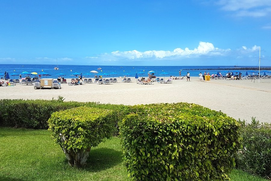 Kanári-szigetek 4. rész – Tenerife