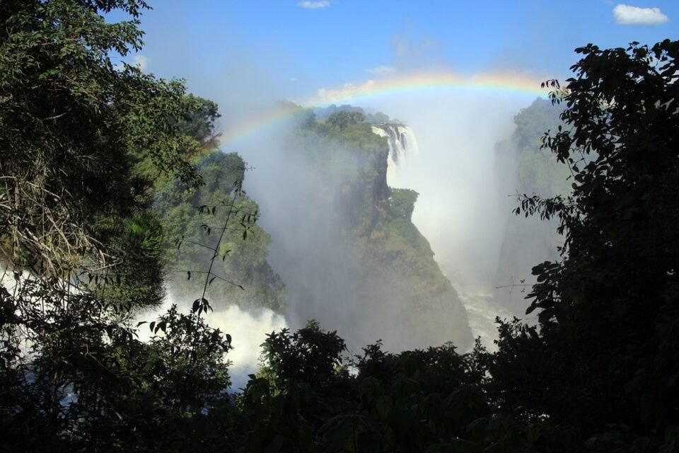 Zimbabwe Chipinge Kávé