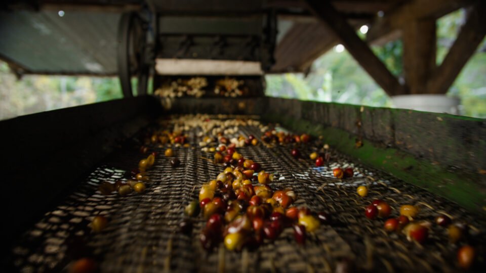 Dokumentumfilm az igazi fair trade-ről