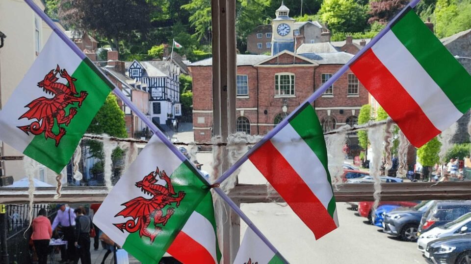 Walesi-magyar barátság napja